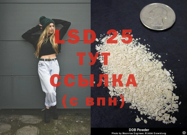 индика Абаза