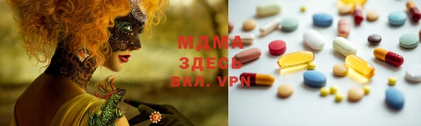 индика Абаза