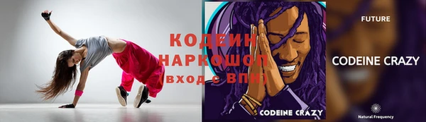 прущие грибы Алзамай