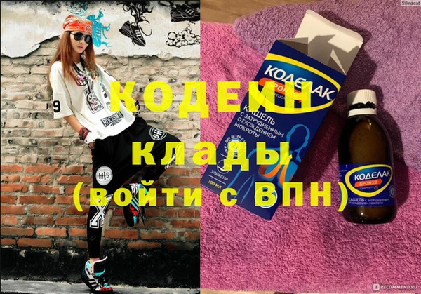 индика Абаза