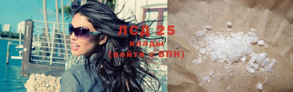 прущие грибы Алзамай