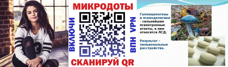 МЕГА вход  Богородицк  Галлюциногенные грибы Psilocybe  где найти  